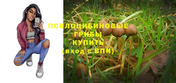 spice Алексеевка