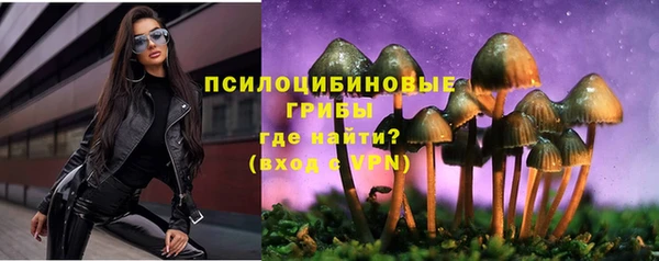 мет Алзамай